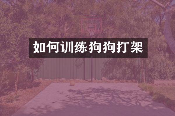 如何训练狗狗打架