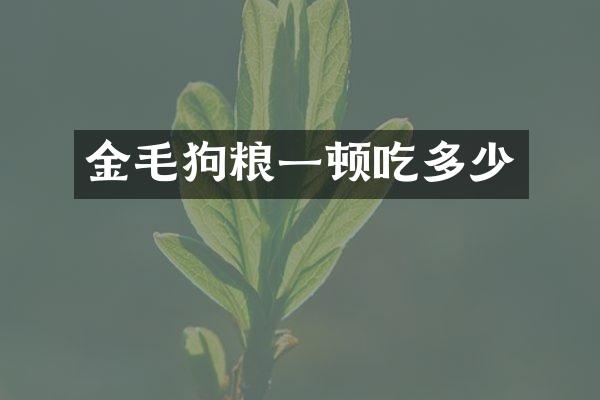 金毛狗粮一顿吃多少