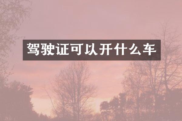 驾驶证可以开什么车