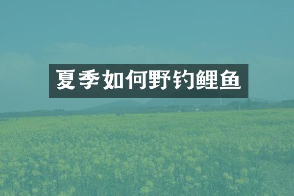 夏季如何野钓鲤鱼