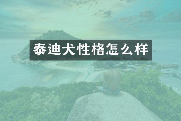 泰迪犬性格怎么样