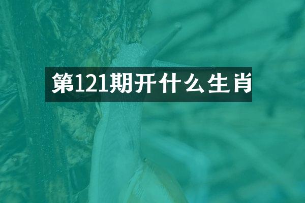 第121期开什么生肖