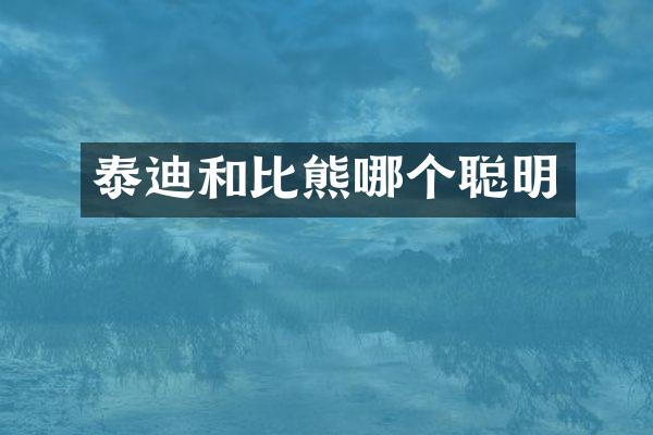 泰迪和比熊哪个聪明
