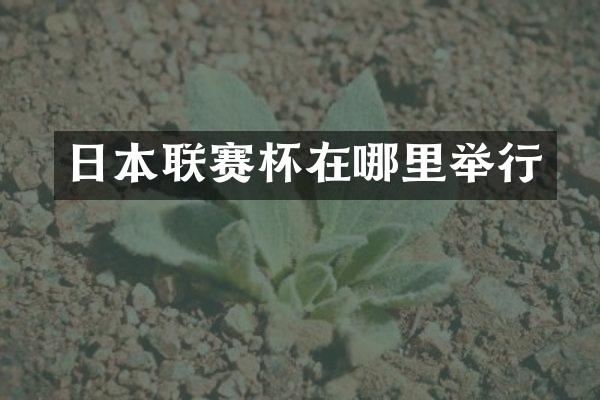 日本联赛杯在哪里举行