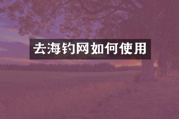 去海钓网如何使用
