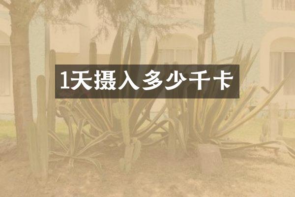 1天摄入多少千卡