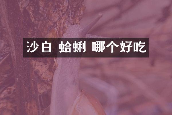 沙白 蛤蜊 哪个好吃