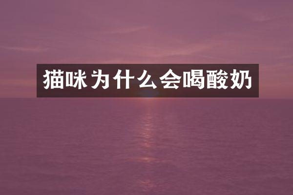 猫咪为什么会喝酸奶