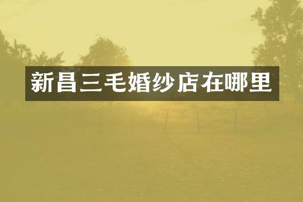 新昌三毛婚纱店在哪里