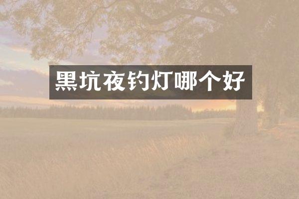 黑坑夜钓灯哪个好