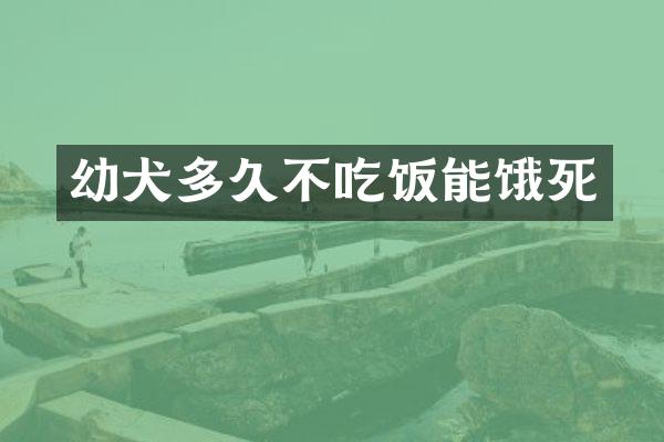 幼犬多久不吃饭能饿死