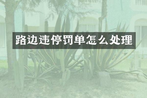 路边违停罚单怎么处理