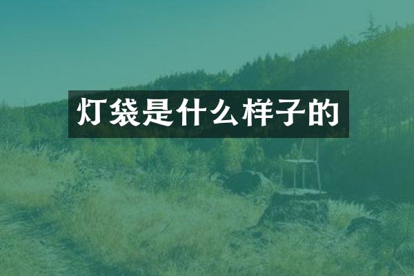 灯袋是什么样子的
