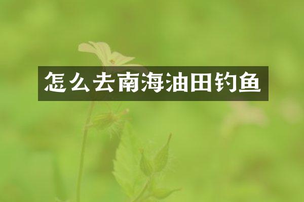 怎么去南海油田钓鱼