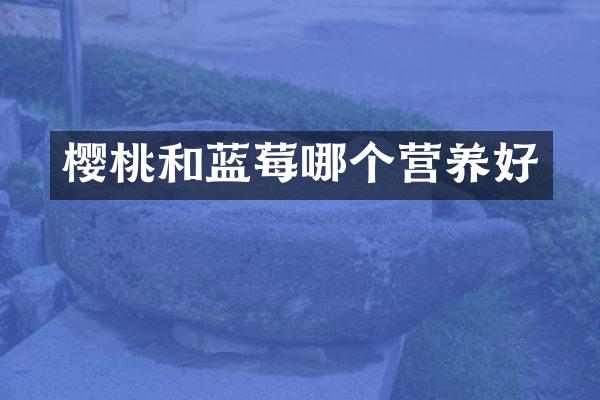 樱桃和蓝莓哪个营养好