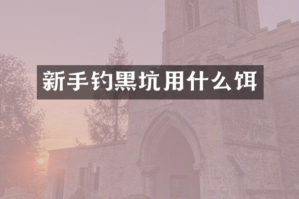 新手钓黑坑用什么饵