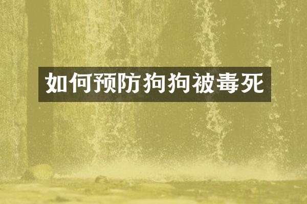 如何预防狗狗被毒死