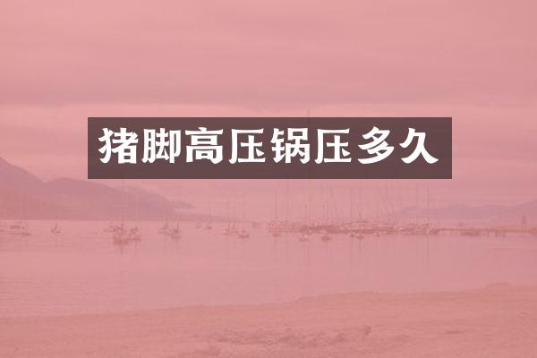 猪脚高压锅压多久