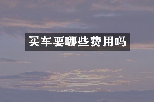 买车要哪些费用吗
