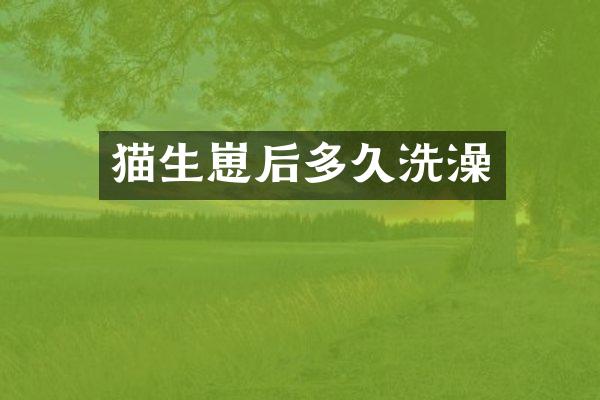 猫生崽后多久洗澡