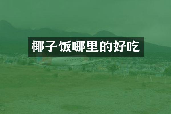 椰子饭哪里的好吃