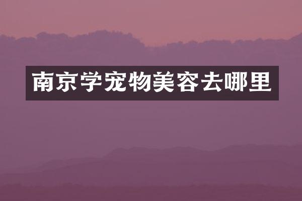 南京学宠物美容去哪里