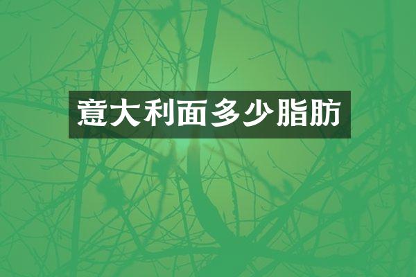 意大利面多少脂肪