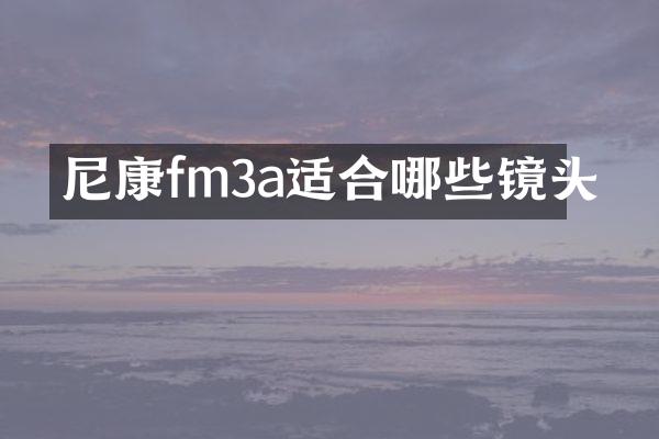 尼康fm3a适合哪些镜头