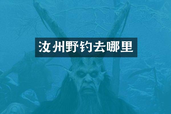 汝州野钓去哪里