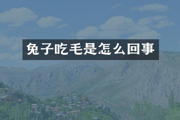 兔子吃毛是怎么回事