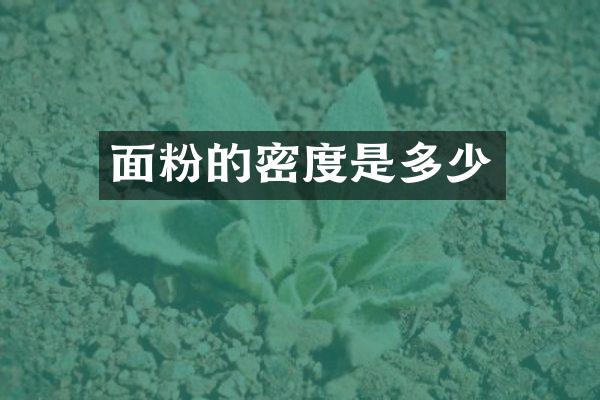 面粉的密度是多少