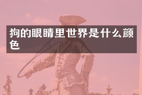 狗的眼睛里世界是什么颜色