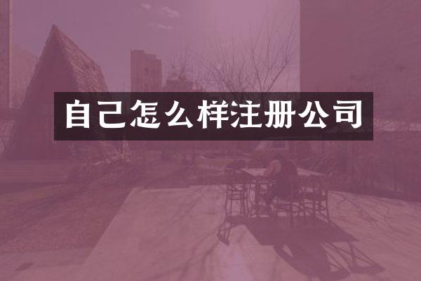 自己怎么样注册公司