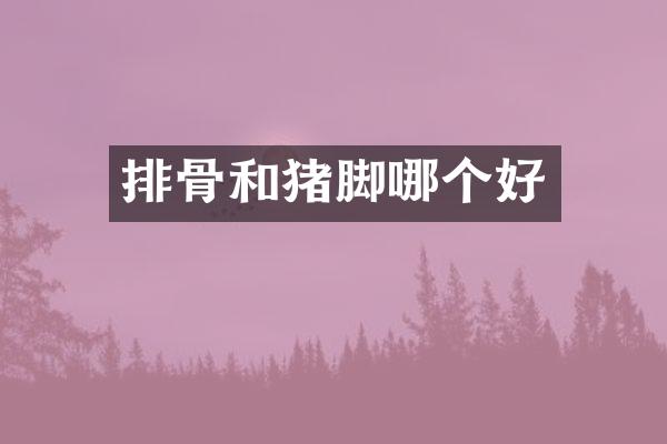 排骨和猪脚哪个好