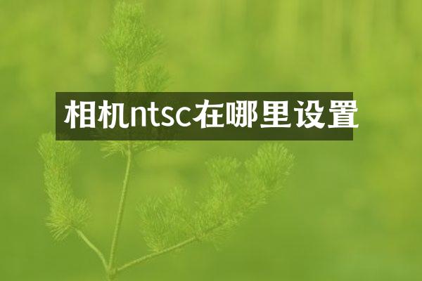 相机ntsc在哪里设置