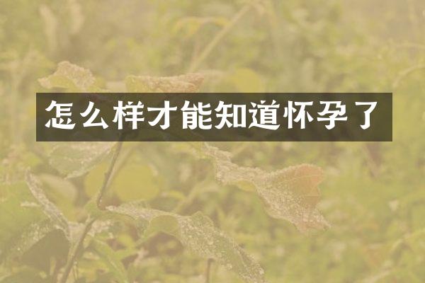 怎么样才能知道怀孕了