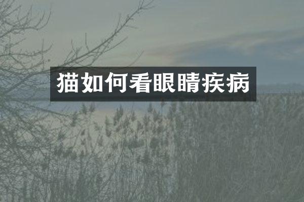 猫如何看眼睛疾病