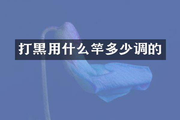 打黑用什么竿多少调的