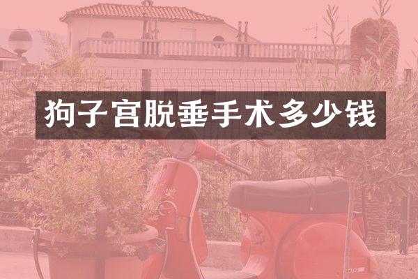 狗子宫脱垂手术多少钱