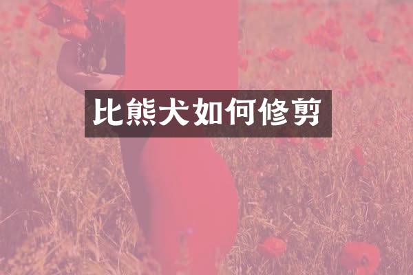 比熊犬如何修剪