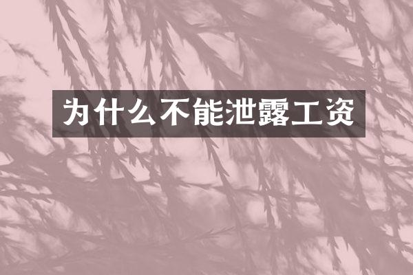 为什么不能泄露工资
