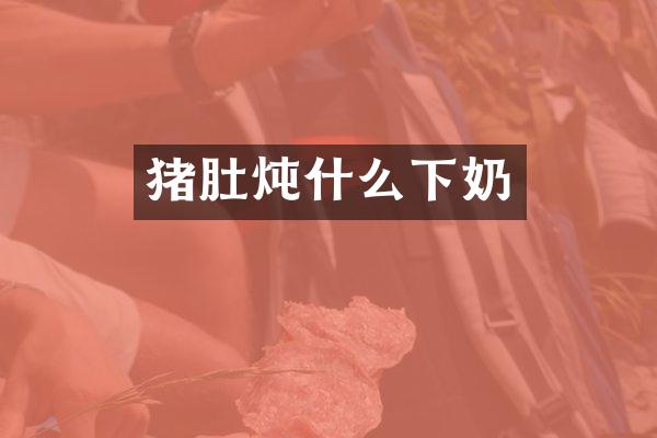 猪肚炖什么下奶