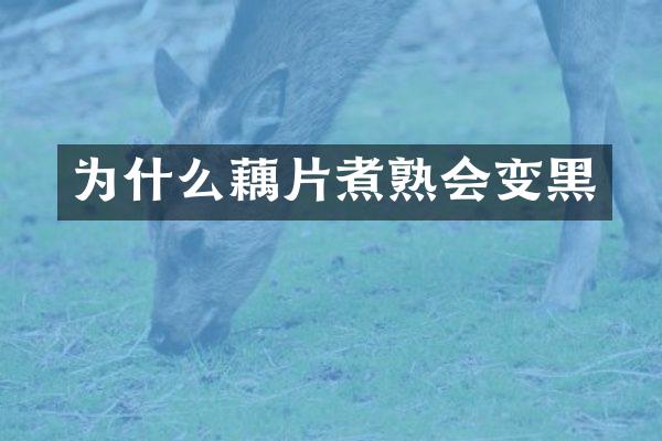 为什么藕片煮熟会变黑