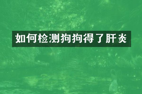 如何检测狗狗得了肝炎