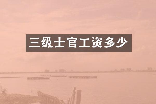 三级士官工资多少