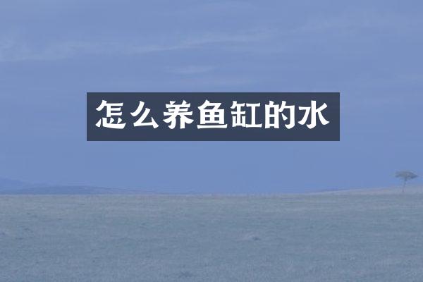 怎么养鱼缸的水