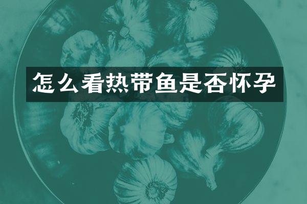 怎么看热带鱼是否怀孕