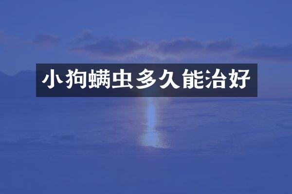 小狗螨虫多久能治好