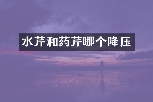 水芹和药芹哪个降压