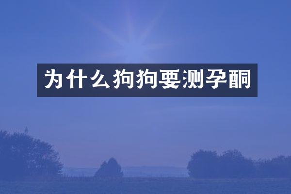 为什么狗狗要测孕酮